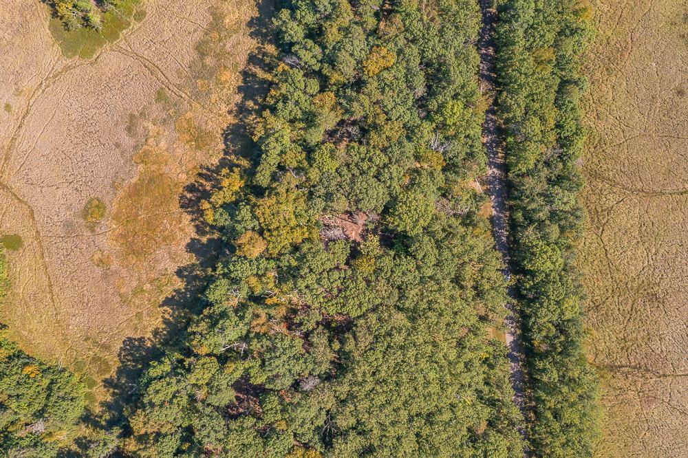 Tract D Tbd Tract D Tbd Little Pine Road Brainerd, MN 56401 - Photo 20 of 27