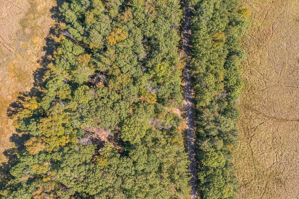 Tract D Tbd Tract D Tbd Little Pine Road Brainerd, MN 56401 - Photo 2 of 27