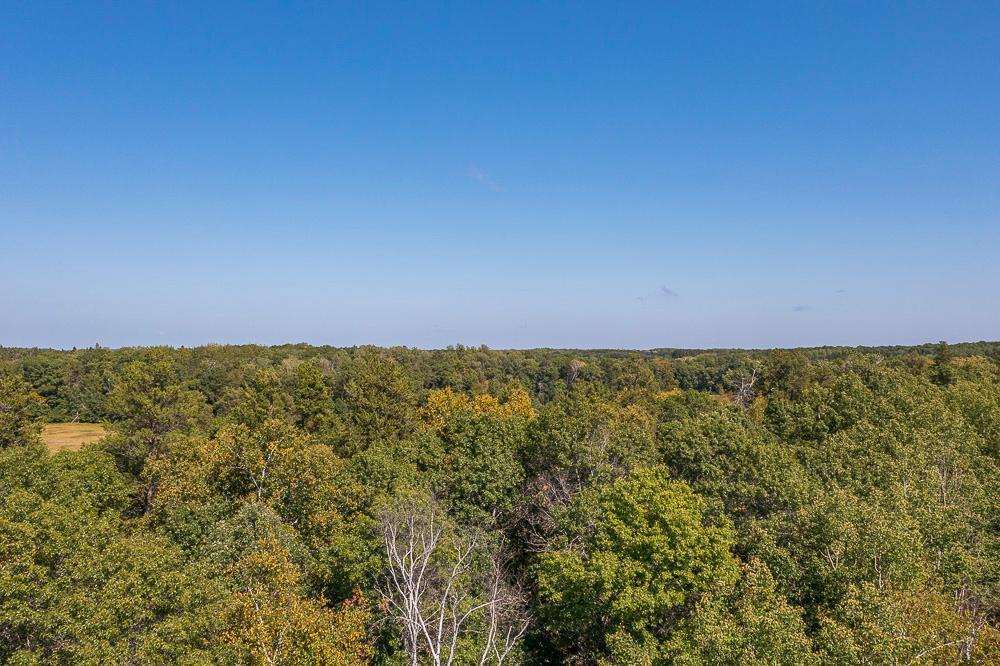 Tract D Tbd Tract D Tbd Little Pine Road Brainerd, MN 56401 - Photo 26 of 27