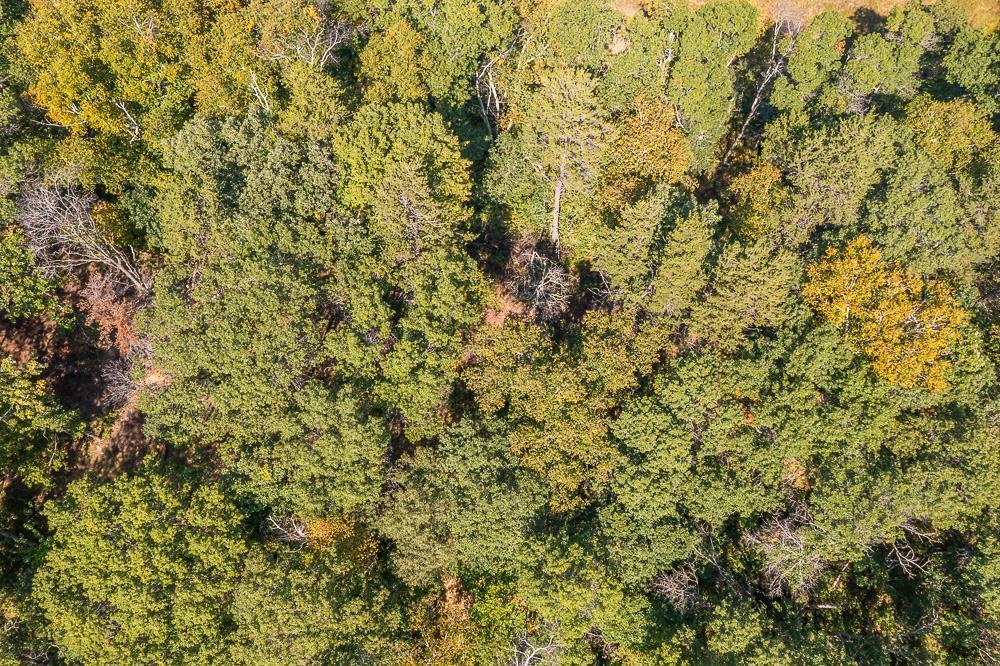 Tract D Tbd Tract D Tbd Little Pine Road Brainerd, MN 56401 - Photo 27 of 27