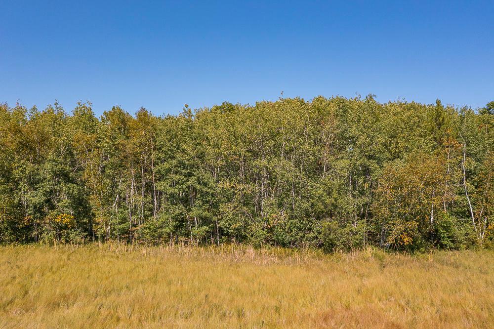 Tract D Tbd Tract D Tbd Little Pine Road Brainerd, MN 56401 - Photo 3 of 27