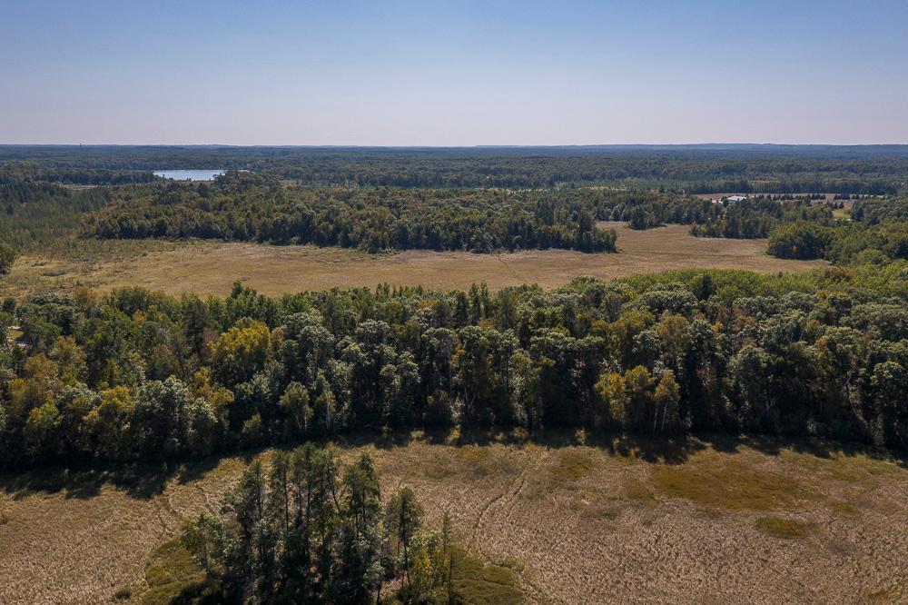 Tract D Tbd Tract D Tbd Little Pine Road Brainerd, MN 56401 - Photo 5 of 27