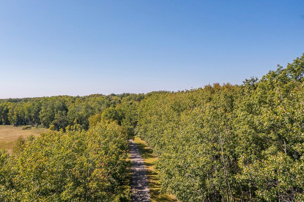 Tract D Tbd Tract D Tbd Little Pine Road Brainerd, MN 56401 - Photo 6 of 27