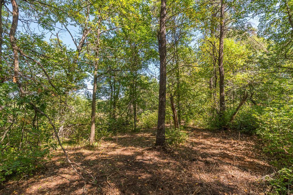 Tract D Tbd Tract D Tbd Little Pine Road Brainerd, MN 56401 - Photo 8 of 27