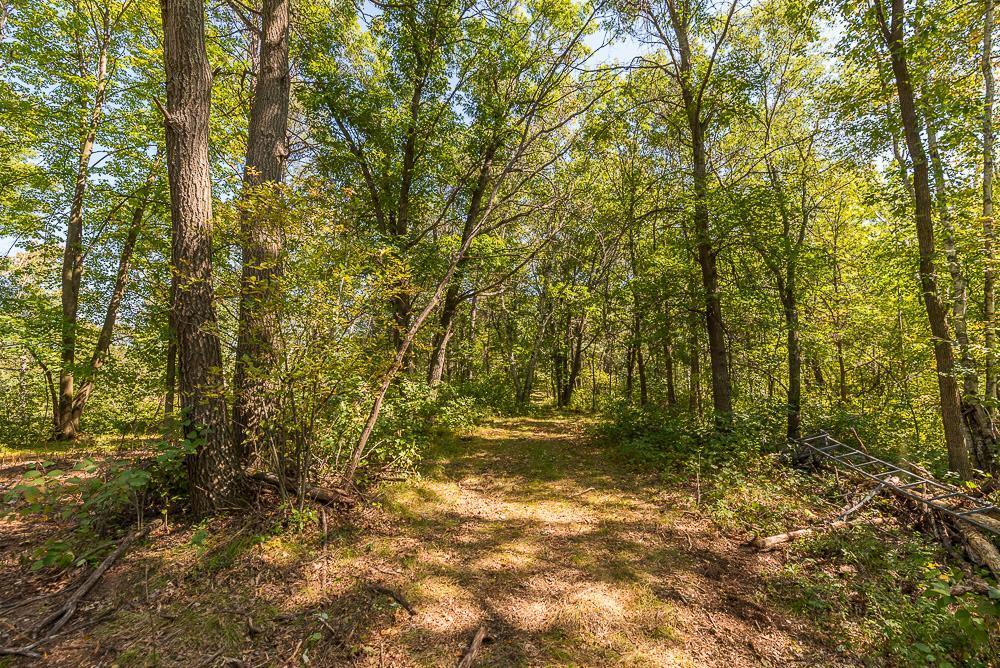 Tract D Tbd Tract D Tbd Little Pine Road Brainerd, MN 56401 - Photo 9 of 27