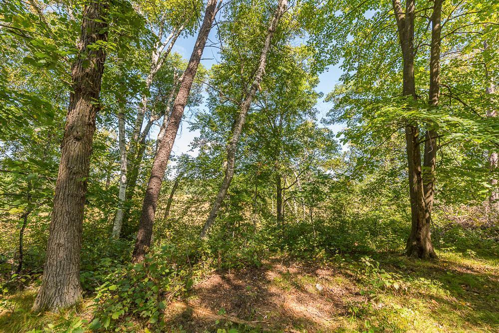 Tract D Tbd Tract D Tbd Little Pine Road Brainerd, MN 56401 - Photo 10 of 27