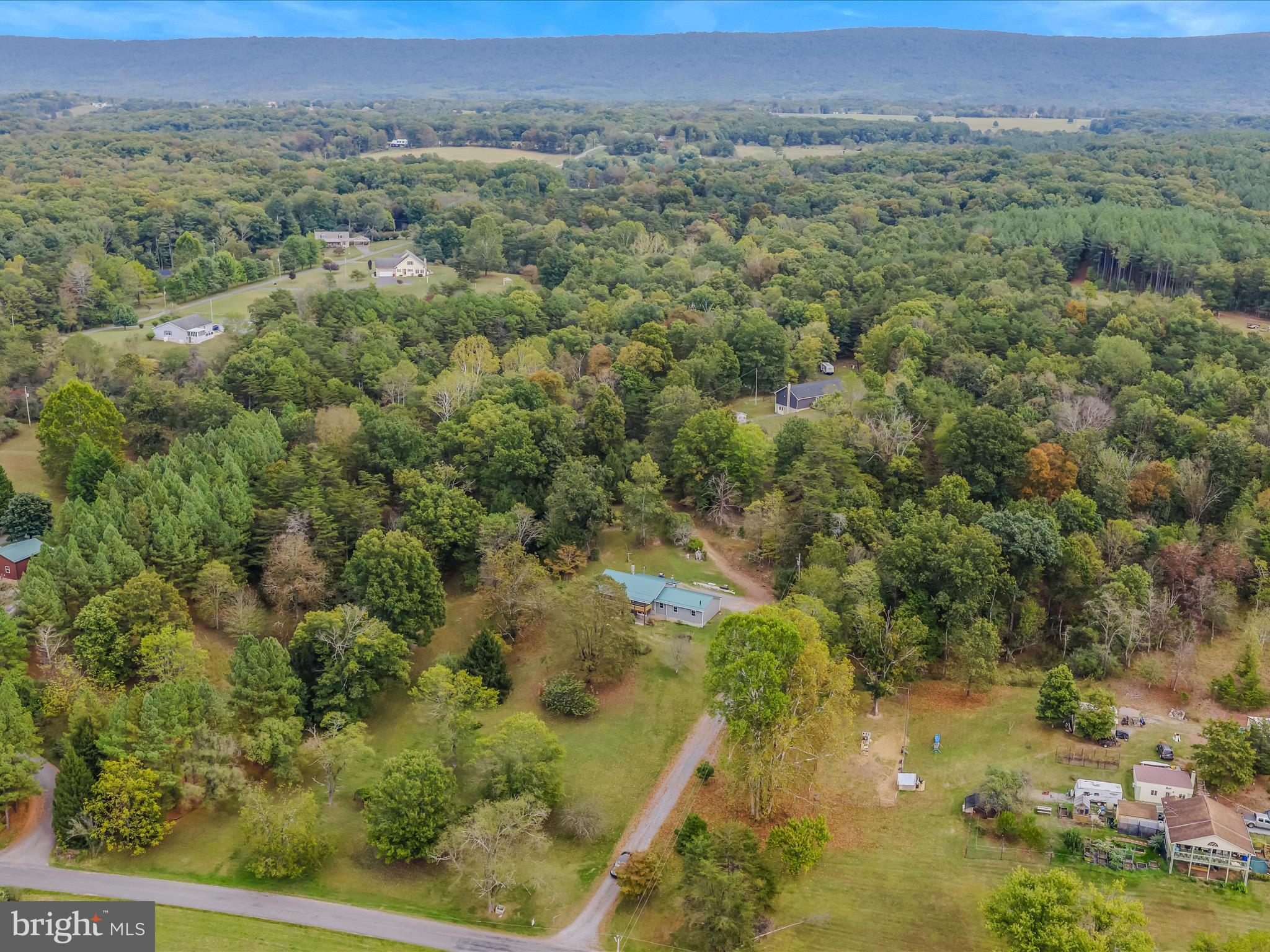 3939 Virginia Line Road Berkeley Springs, WV 25411 - Photo 41 of 51 a view of a forest with a street