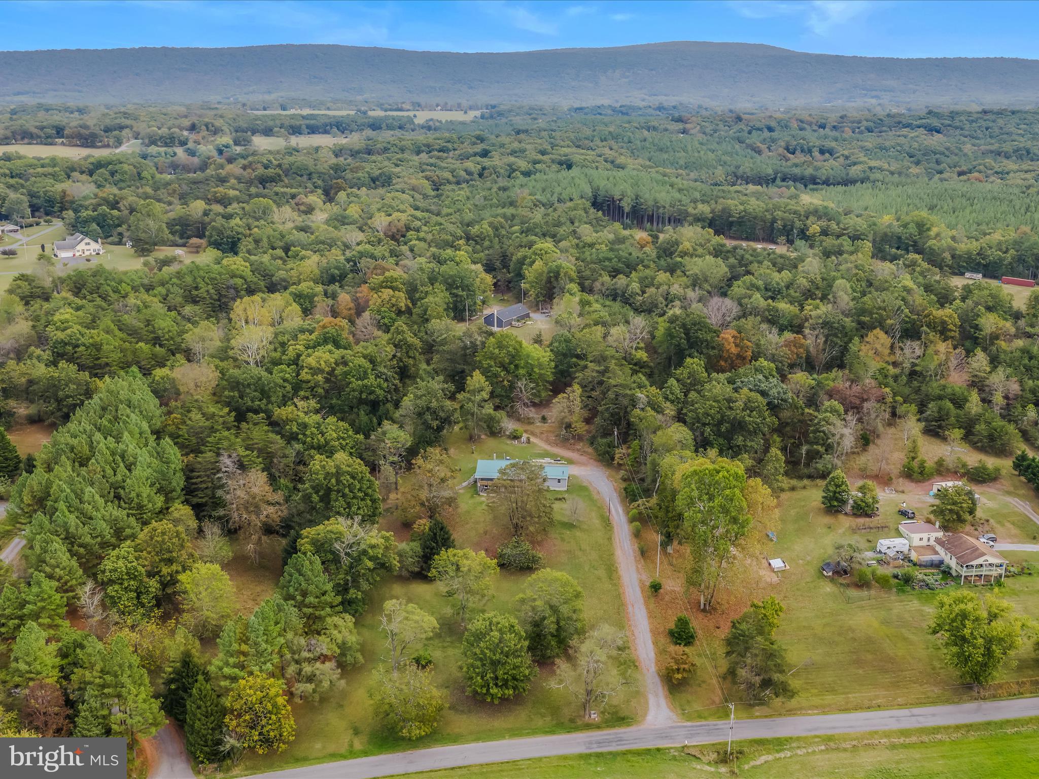 3939 Virginia Line Road Berkeley Springs, WV 25411 - Photo 42 of 51 a view of a forest with a street