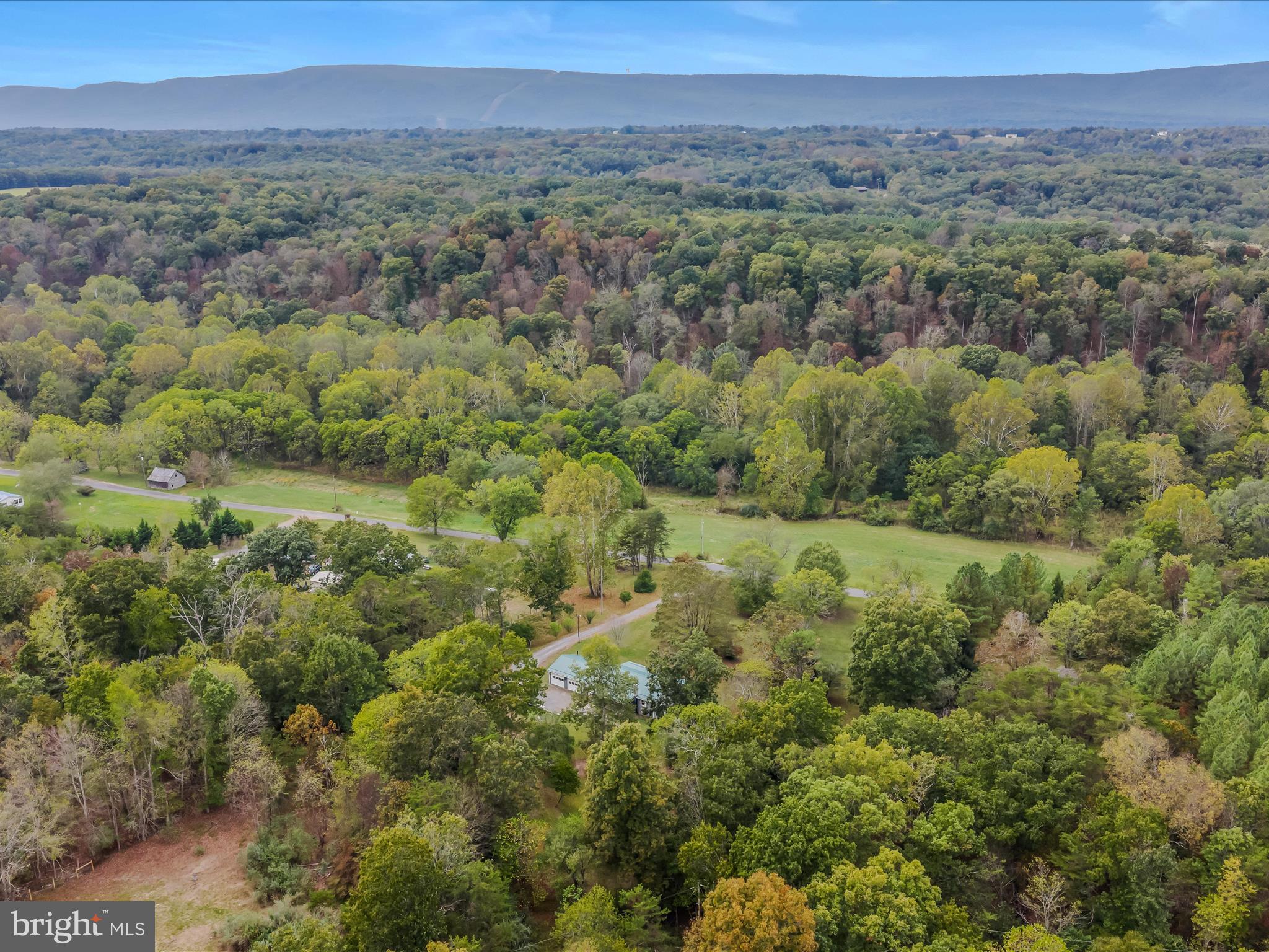 3939 Virginia Line Road Berkeley Springs, WV 25411 - Photo 45 of 51 a view of a lush green forest with trees and some houses