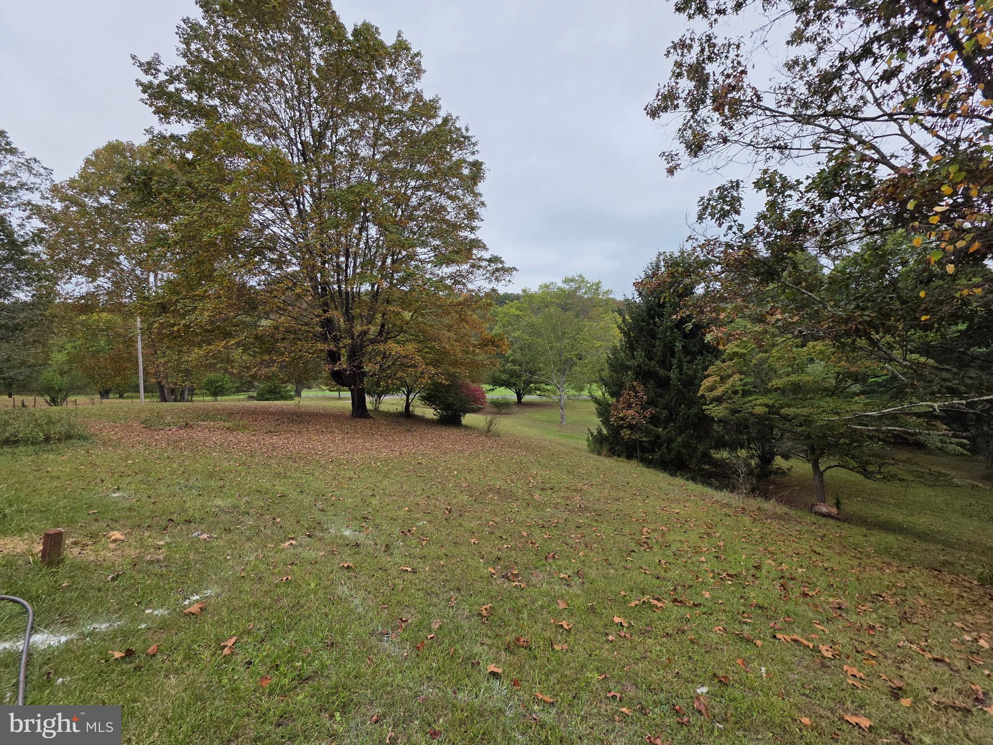 3939 Virginia Line Road Berkeley Springs, WV 25411 - Photo 51 of 51 a view of outdoor space and yard
