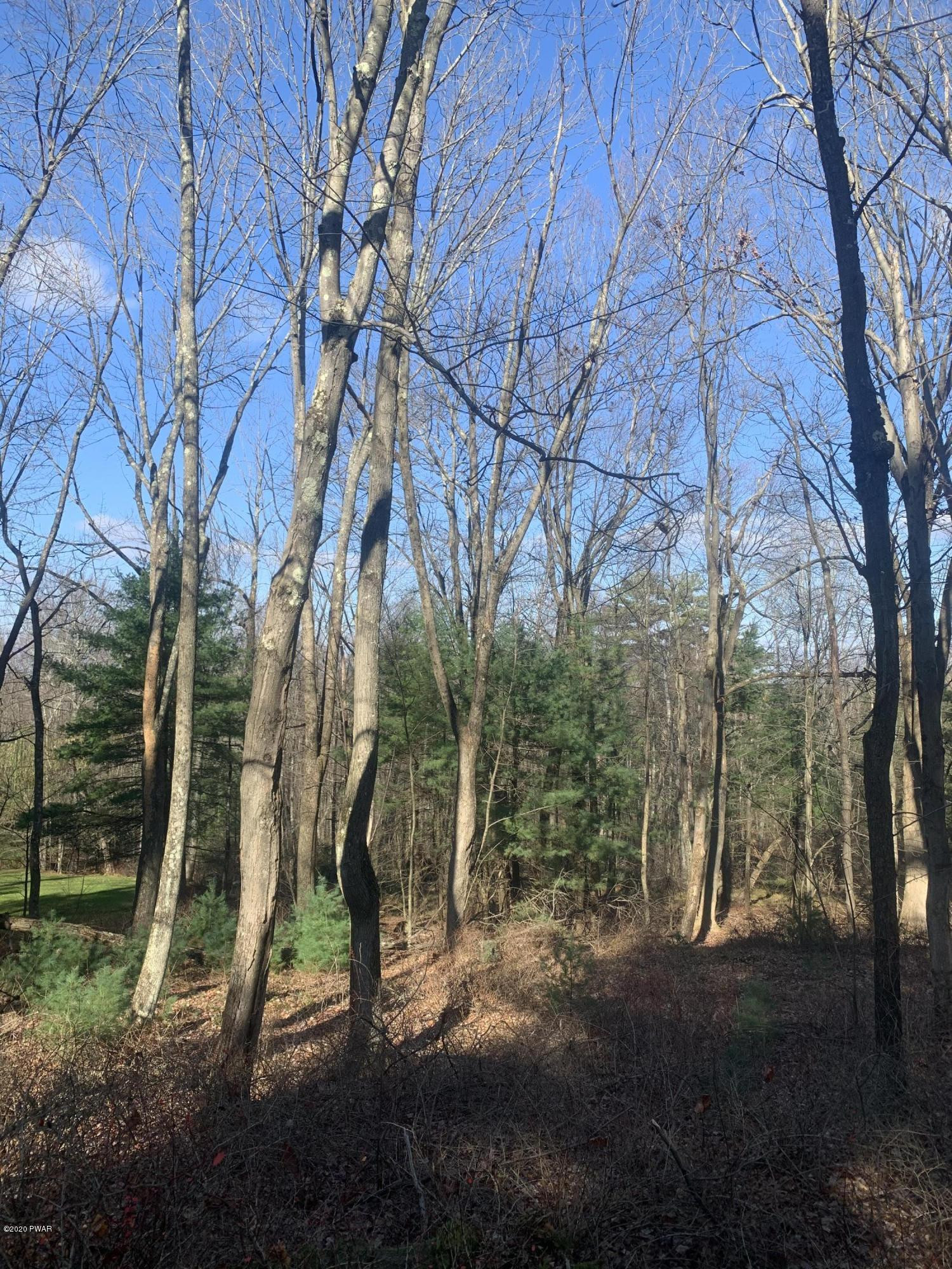 6 Koch Road Tafton, PA 18464 - Photo 2 of 5