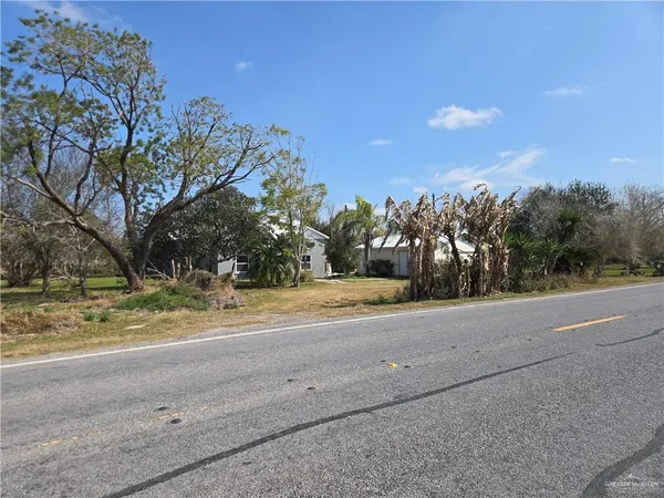 a view of a yard with a tree