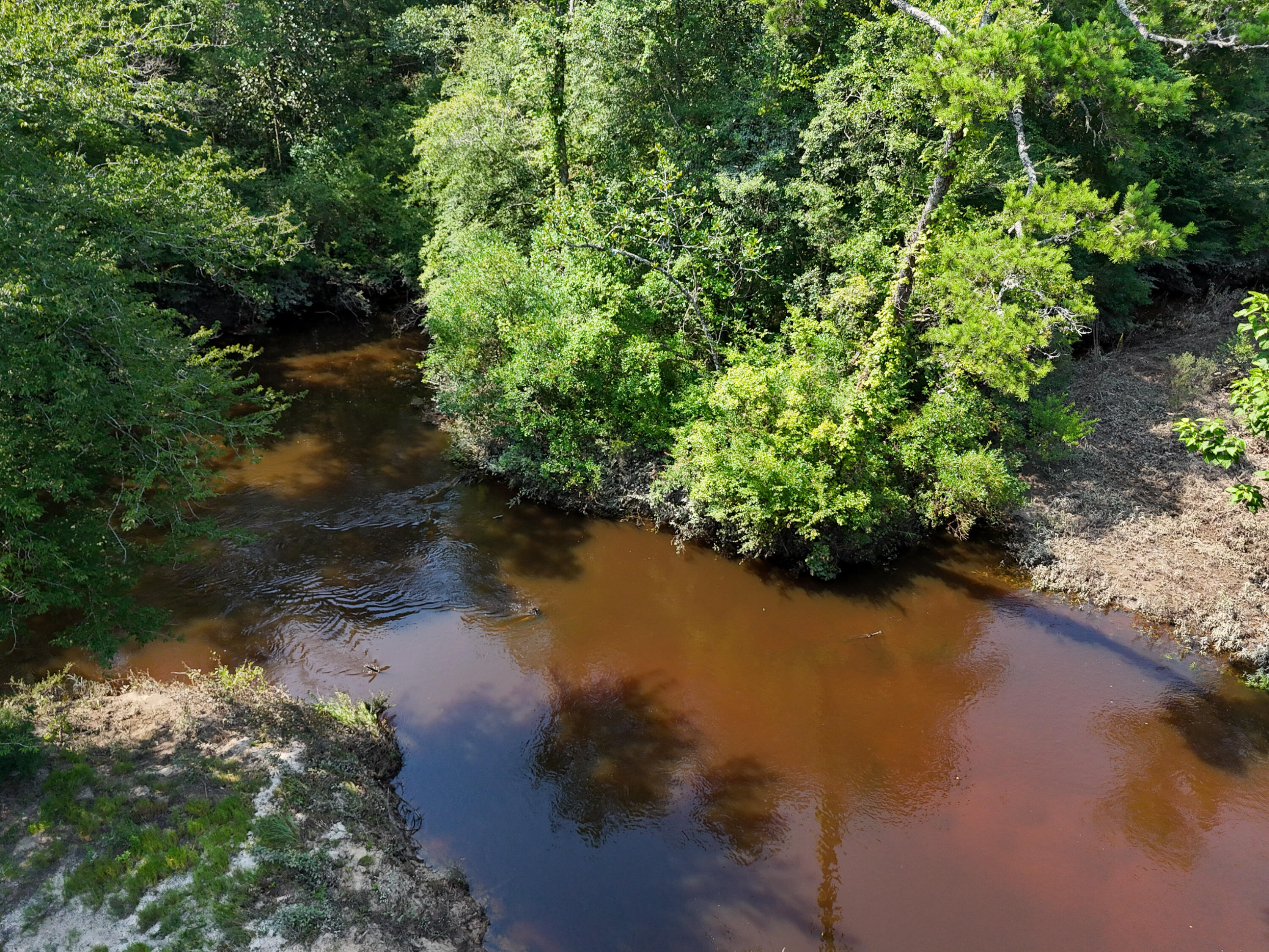 3128 County Road 10 Samson, AL 36477 - Photo 3 of 67 DJI_20260630231758_0040_D