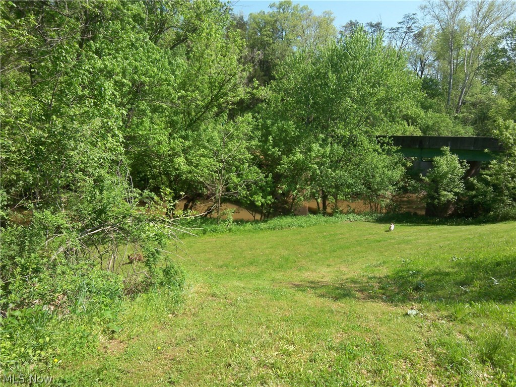 718 Enterprise Road Palestine, WV 26160 - Photo 12 of 27 side of the property leading down to the creek...great for canoeing or kayaking!