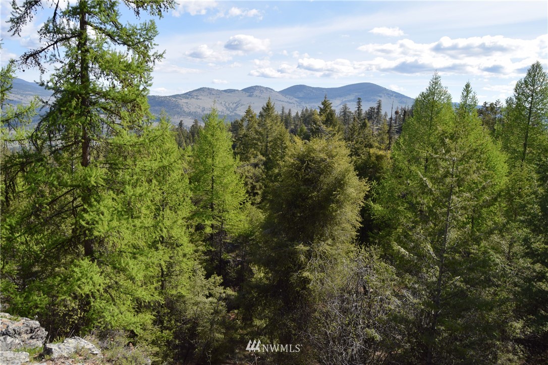 1111 Neil Canyon Road Tonasket, WA 98855 - Photo 11 of 17 Gallery Image 11
