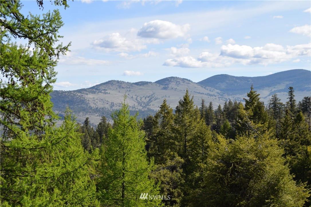 1111 Neil Canyon Road Tonasket, WA 98855 - Photo 12 of 17 Gallery Image 12