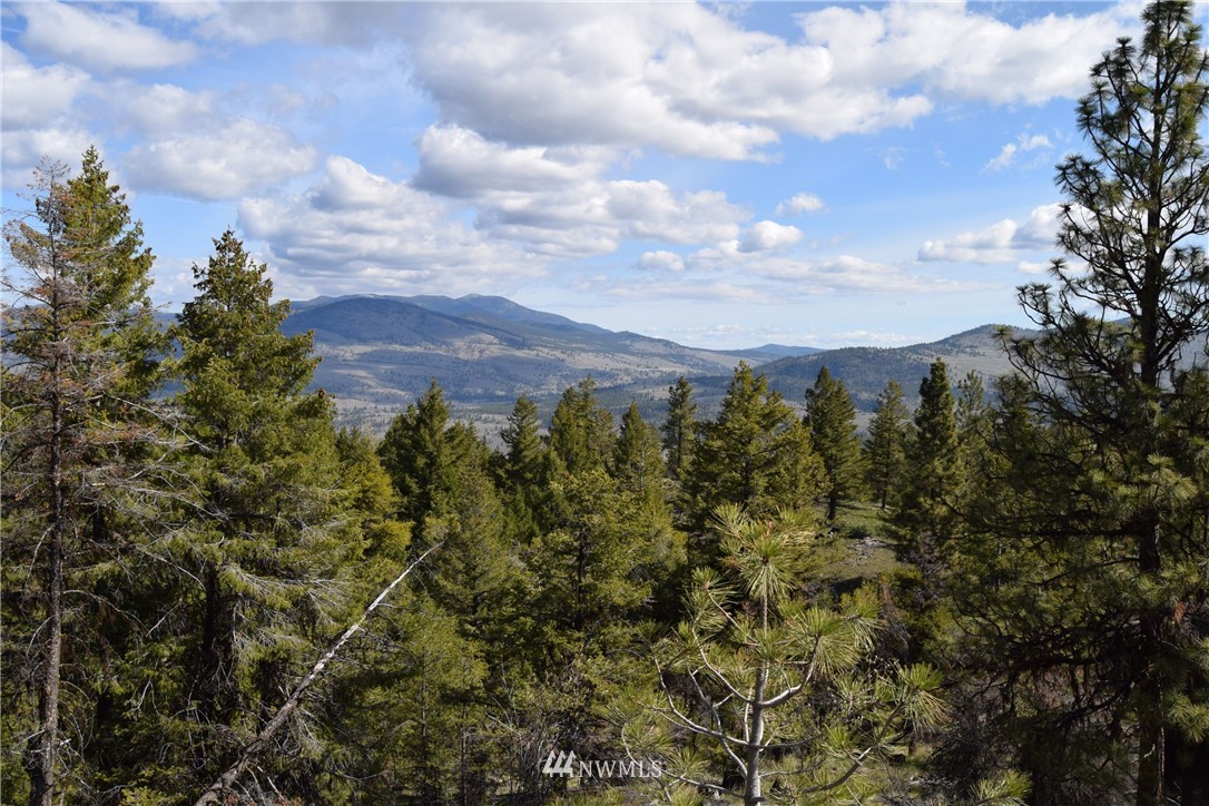1111 Neil Canyon Road Tonasket, WA 98855 - Photo 15 of 17 Gallery Image 15
