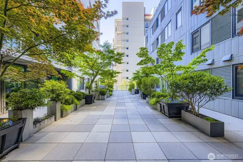 a view of backyard with flower plants