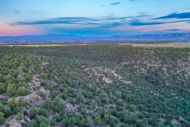 a view of a field with an ocean