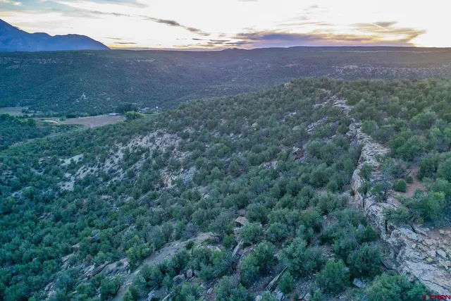 a view of an outdoor space and a yard