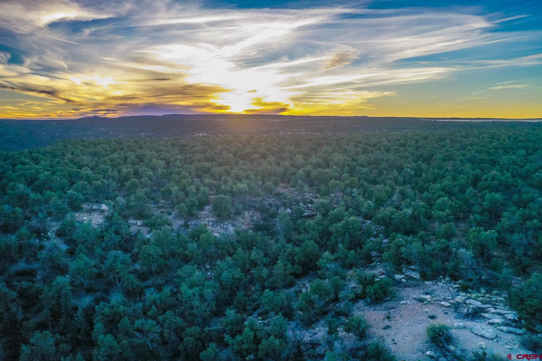 20 Road 20 Cortez, CO 81321 - Photo 19 of 19 a view of a houses with a yard
