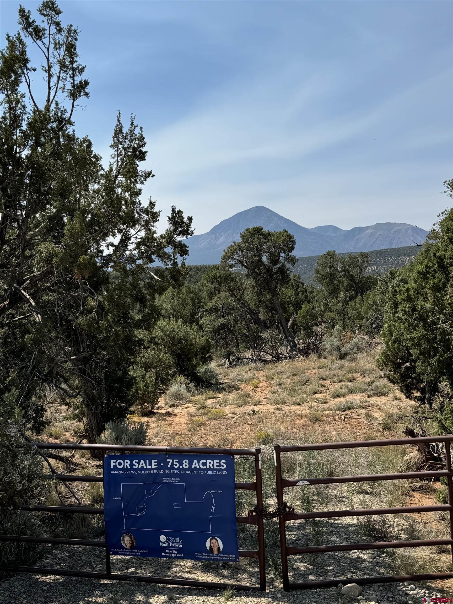 20 Road 20 Cortez, CO 81321 - Photo 2 of 19 a view of a backyard of the house