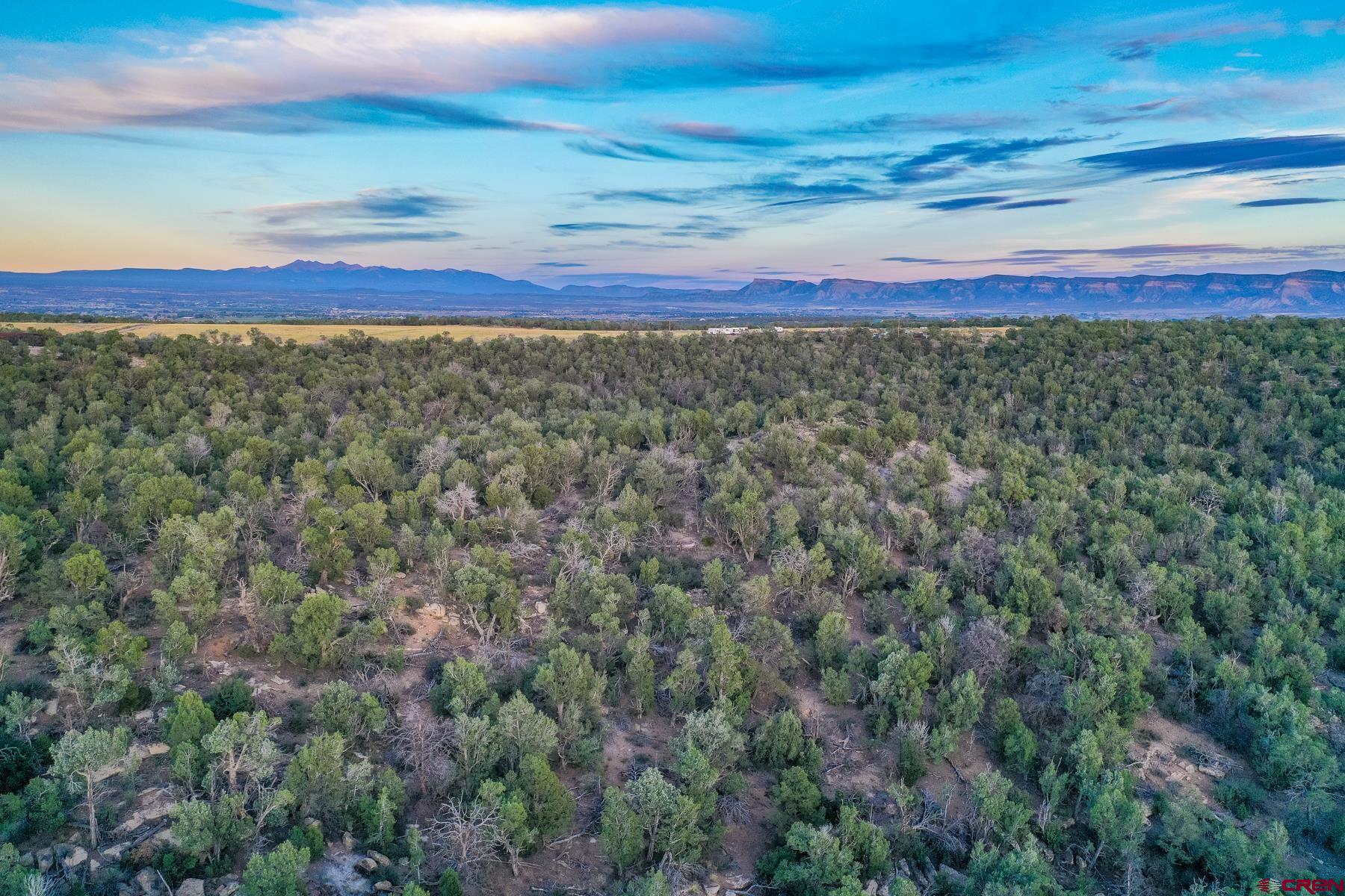 20 Road 20 Cortez, CO 81321 - Photo 3 of 19 a view of a big yard