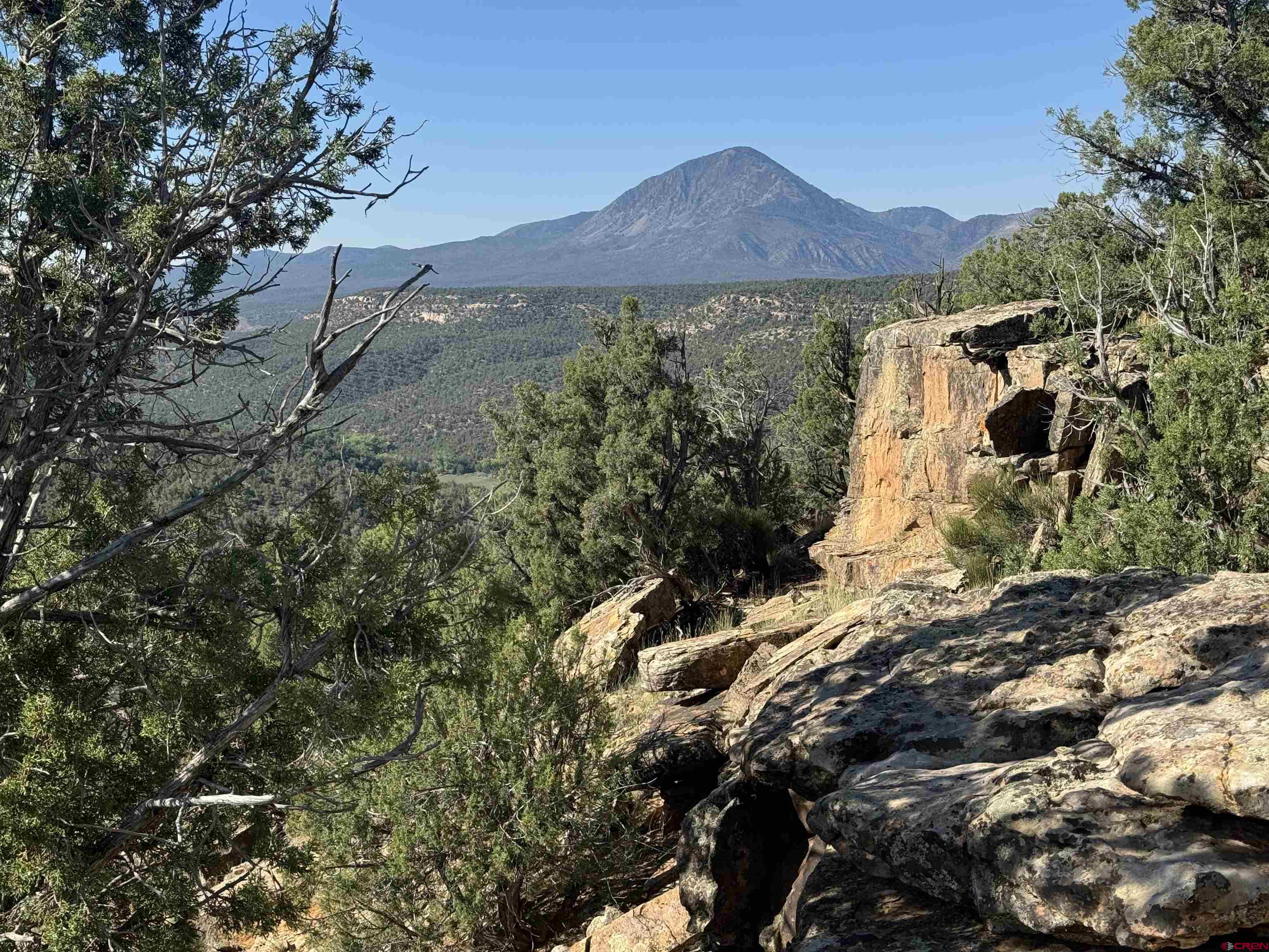20 Road 20 Cortez, CO 81321 - Photo 5 of 19