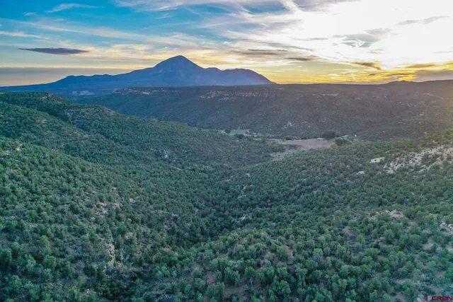 a view of a city with lush green forest