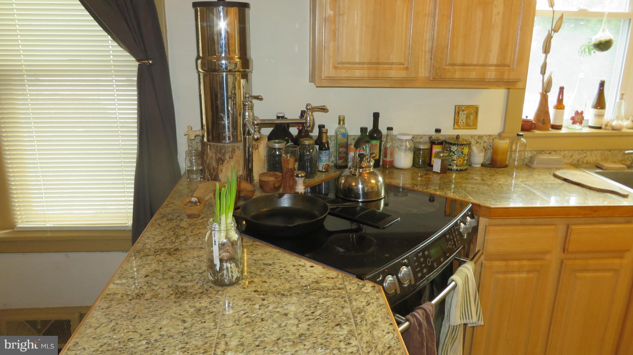 5 Front Street Boiling Springs, PA 17007 - Photo 11 of 21 Gallery Image 11