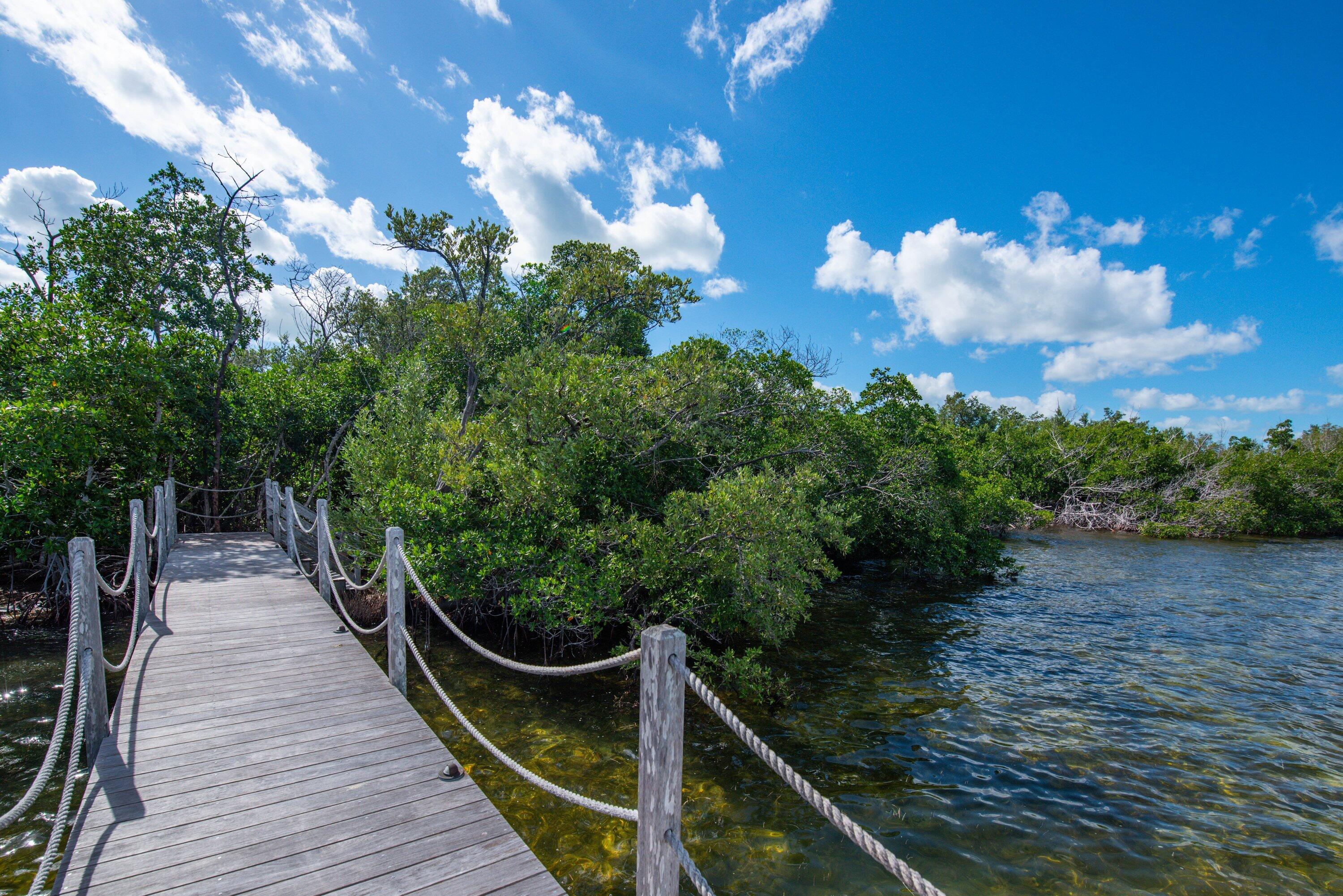 3127 Stewart Road Summerland Key, FL 33042 - Photo 44 of 64 Ipe dock