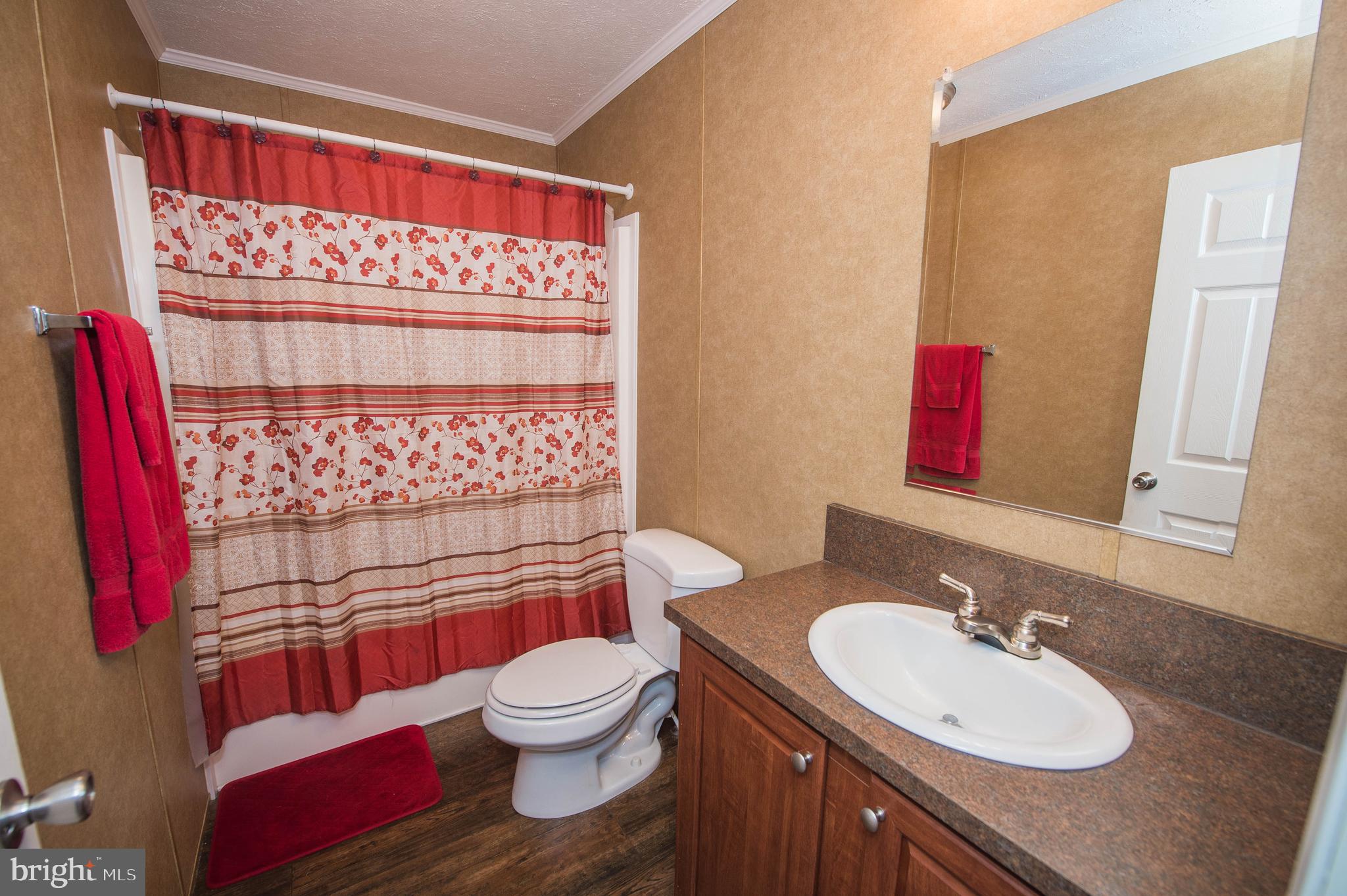 32006 Mt Pleasant Road Laurel, DE 19956 - Photo 27 of 43 Bathroom