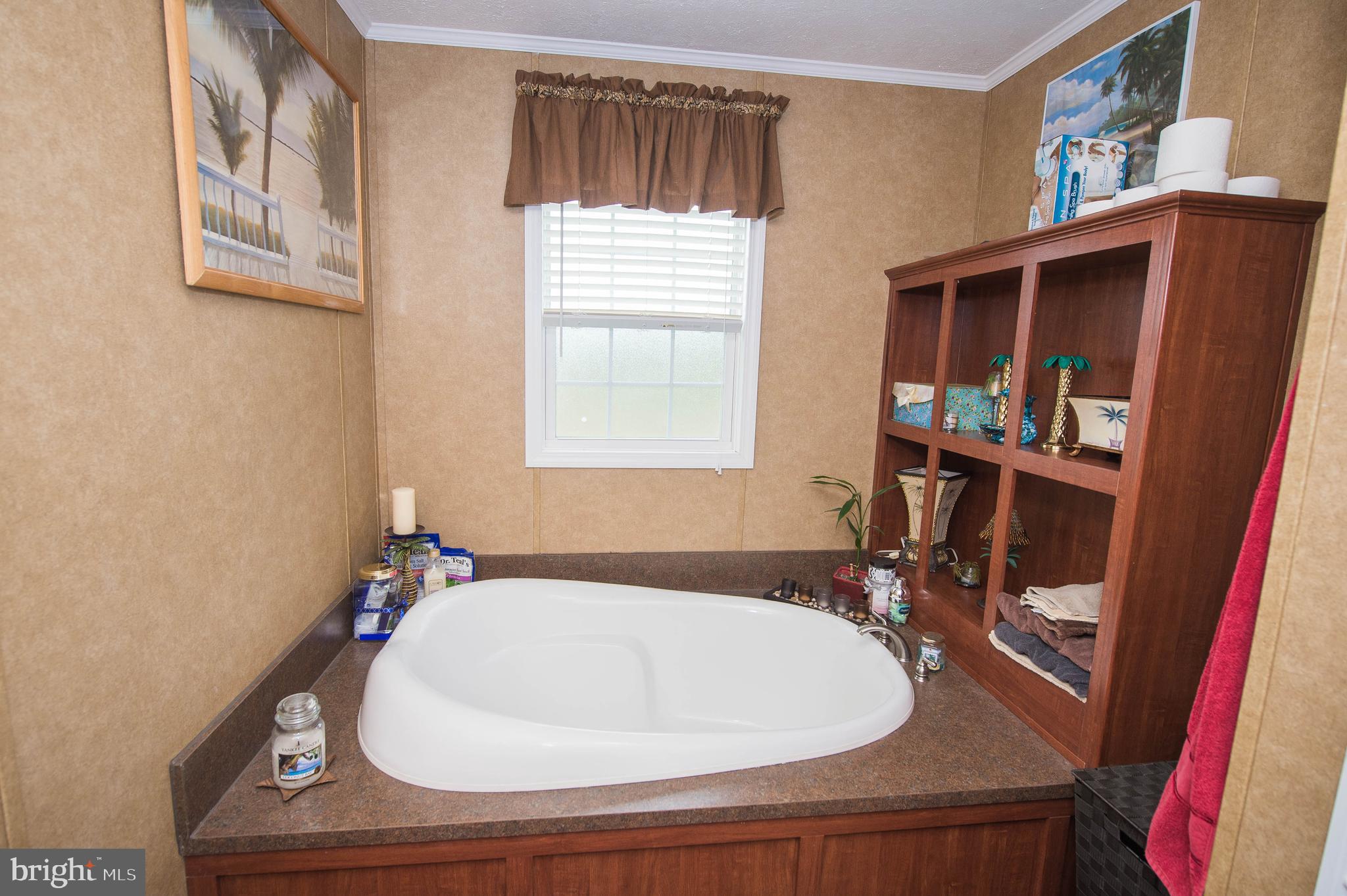 32006 Mt Pleasant Road Laurel, DE 19956 - Photo 35 of 43 Master bathroom soaking tub
