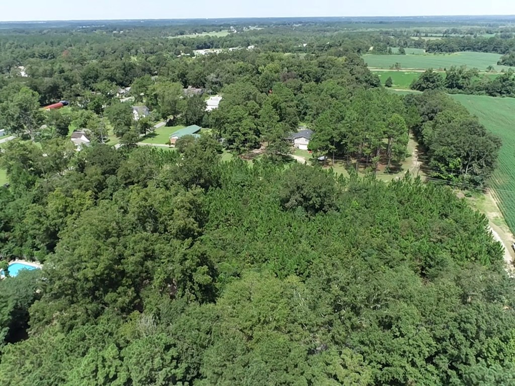 2.59 Cypress Rd/dexter Rd/ Worrell Street Eufaula, AL 36027 - Photo 7 of 9