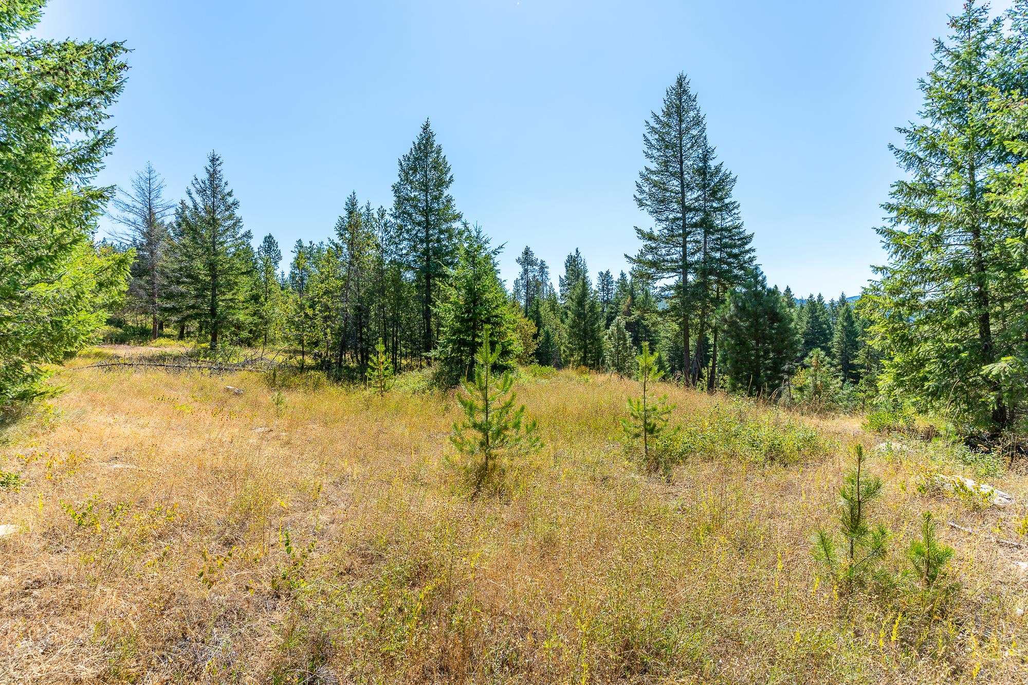 1059 Scotia Road Newport, WA 99156 - Photo 8 of 22