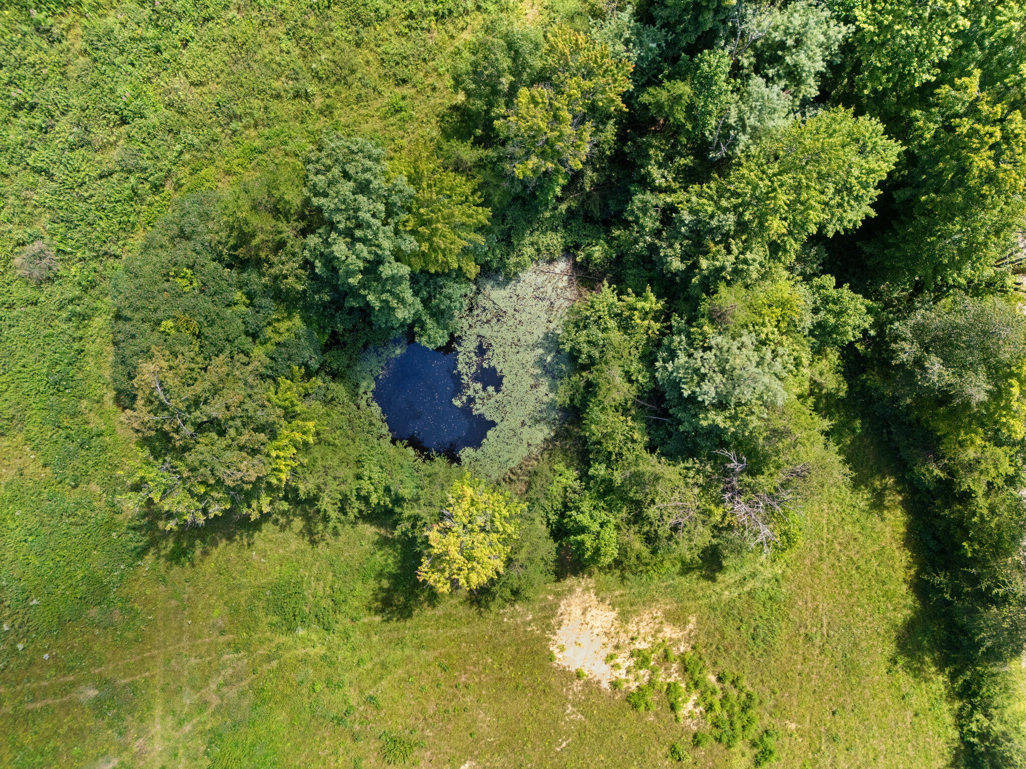 249 Sorrell Road Wellington, KY 40387 - Photo 9 of 30 18-web-or-mls-DJI_20250811152339_0216_D
