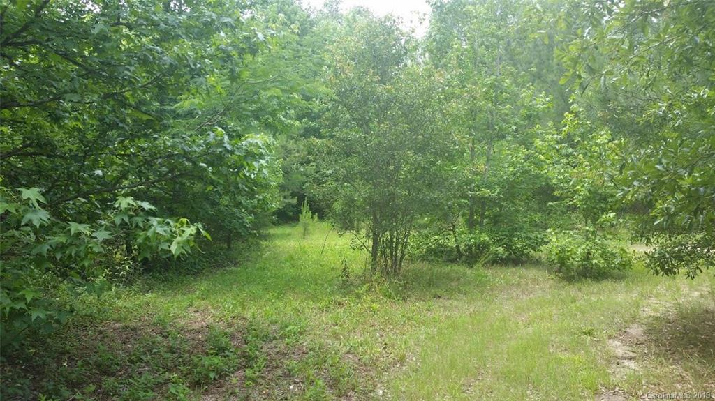 4231 Edgeland Road Edgemoor, SC 29712 - Photo 1 of 6 Gallery Image 1