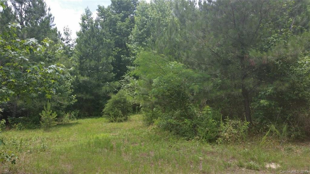 4231 Edgeland Road Edgemoor, SC 29712 - Photo 4 of 6 Gallery Image 4