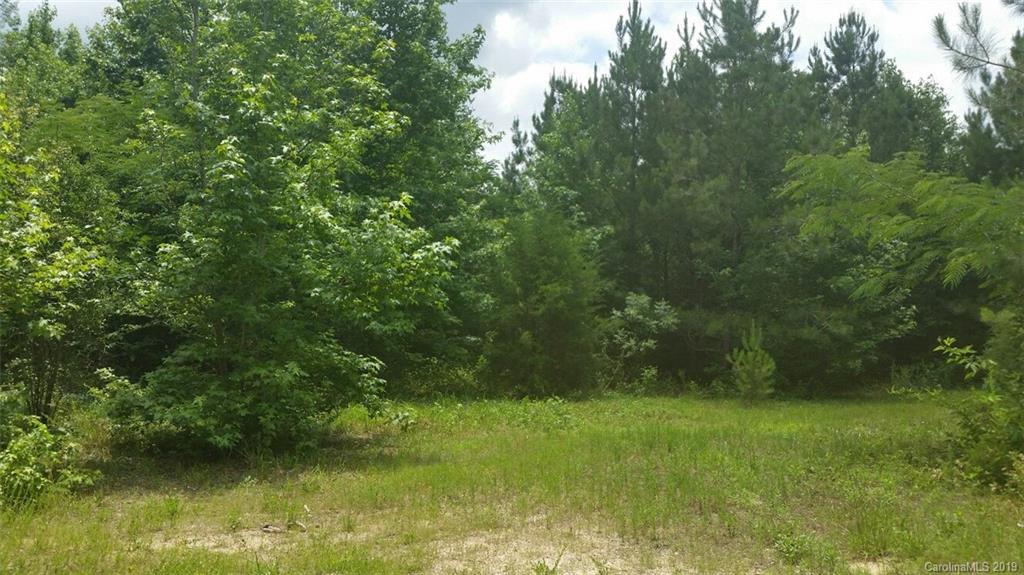 4231 Edgeland Road Edgemoor, SC 29712 - Photo 5 of 6 Gallery Image 5