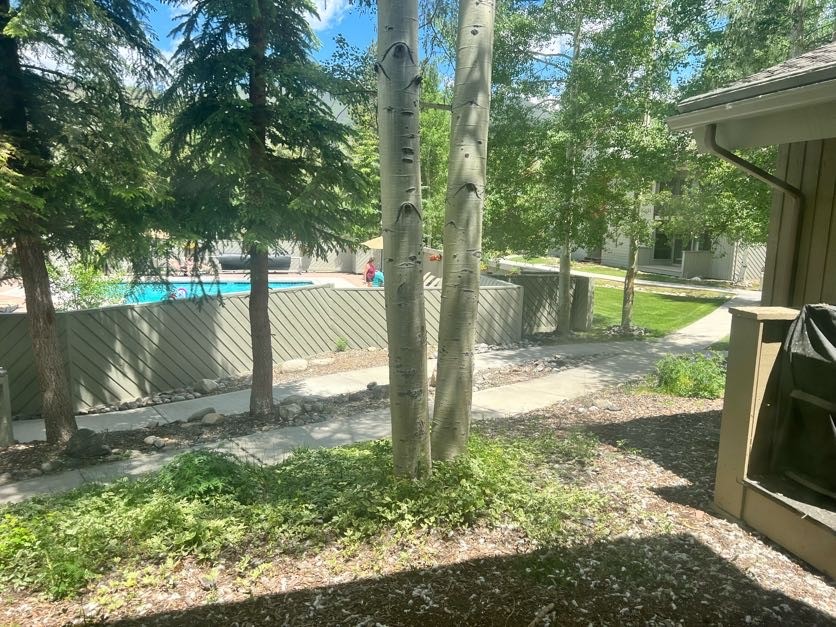 1937 Soda Ridge Road, Unit 112122 Keystone, CO 80435 - Photo 36 of 38 a view of a backyard with a tree
