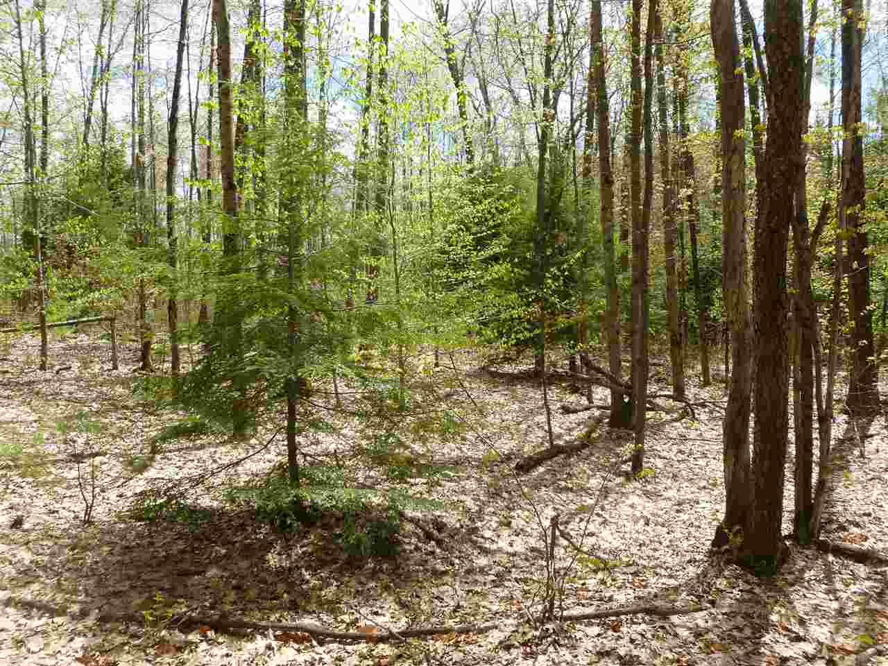 420-37 Allens Mill Road Gilmanton, NH 03237 - Photo 2 of 5 Gallery Image 2