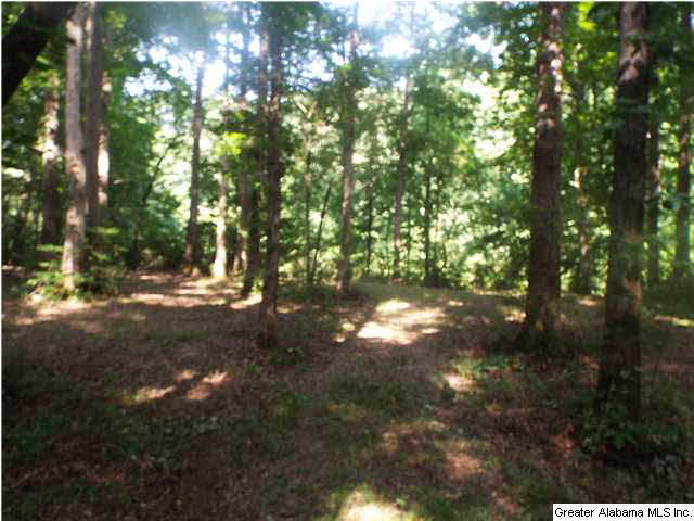 Riverview Court, Unit 114 Cleveland, AL 35049 - Photo 8 of 13