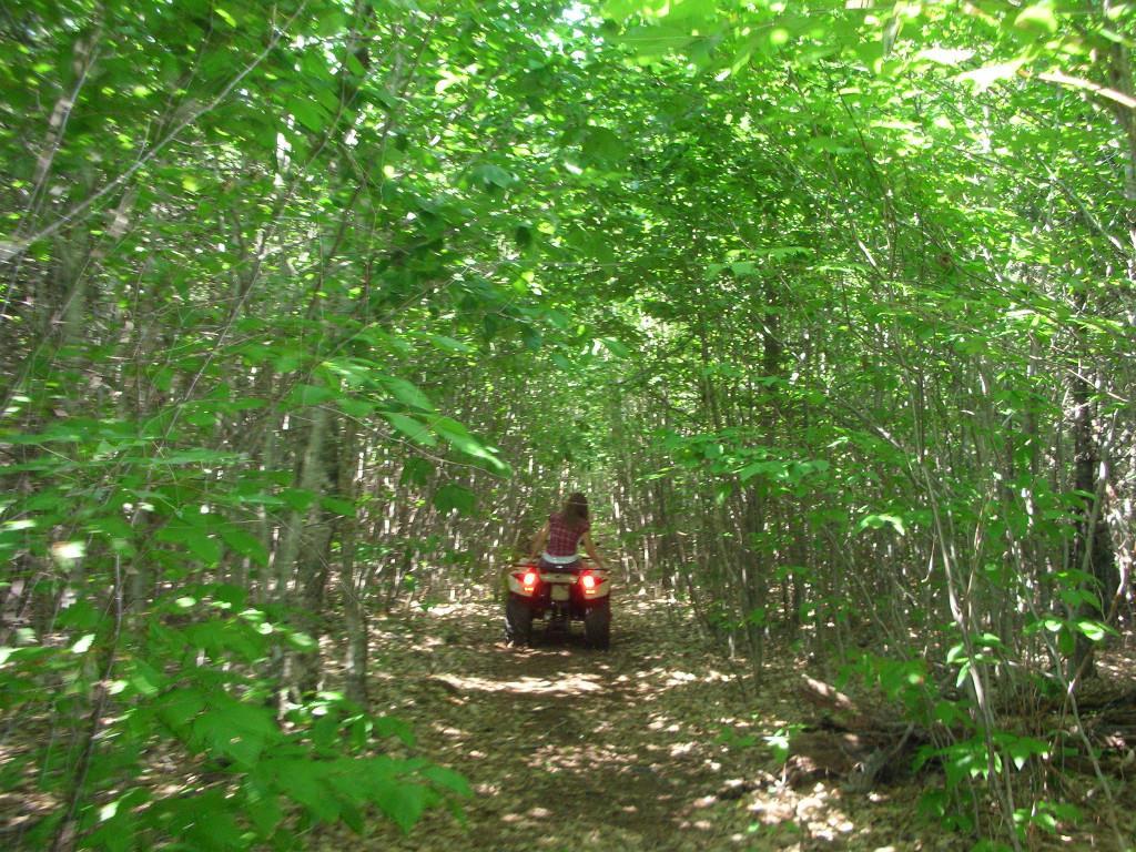 16 Maple Street Ellsworth, ME 04605 - Photo 26 of 33 Photo