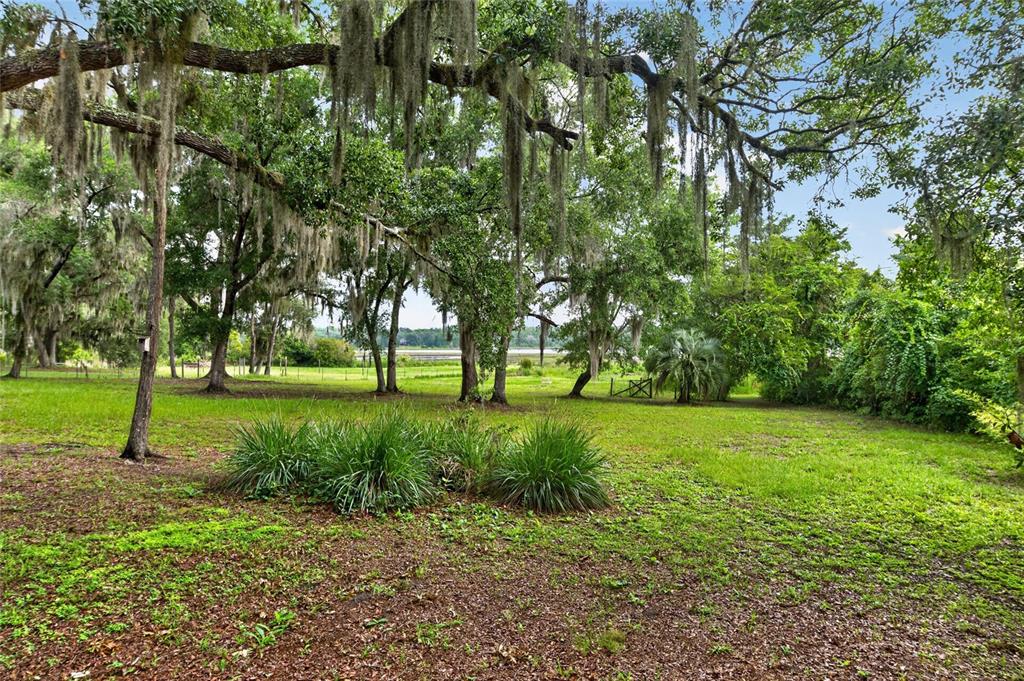 104 Long Pond Way Hawthorne, FL 32640 - Photo 54 of 76
