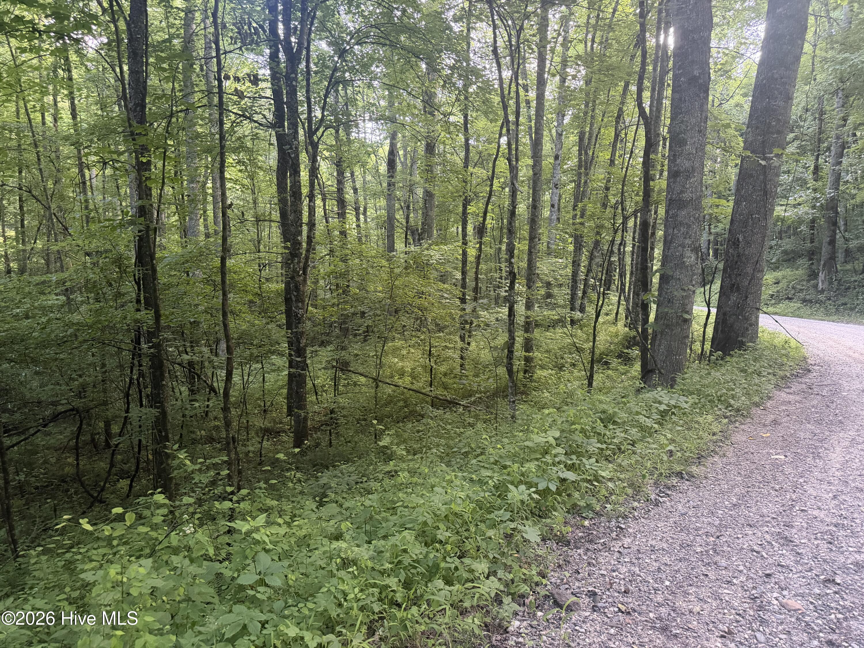 0 Otter Creek Road Topton, NC 28781 - Photo 10 of 20