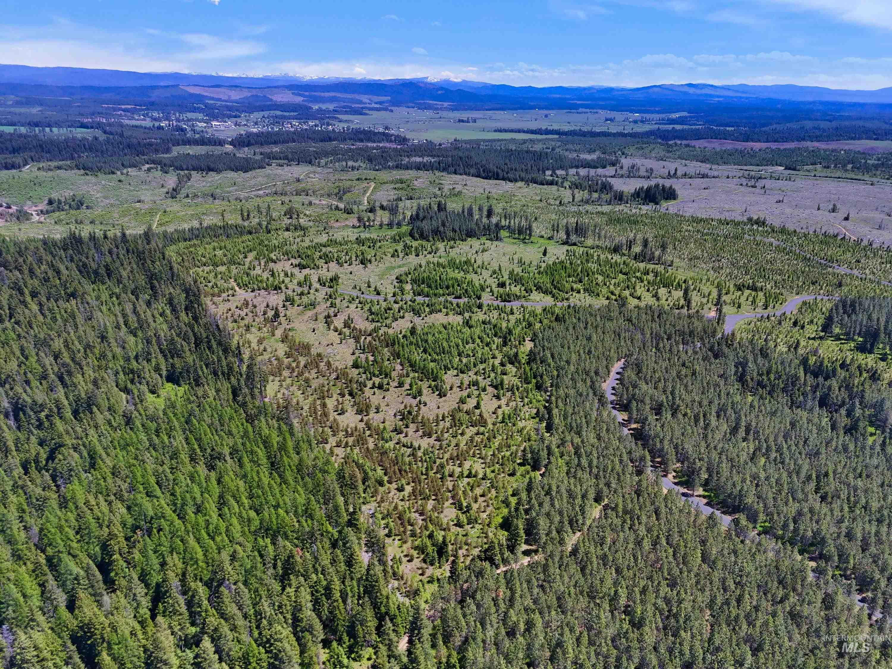 0 Timberline Heights Weippe, ID 83553 - Photo 6 of 17