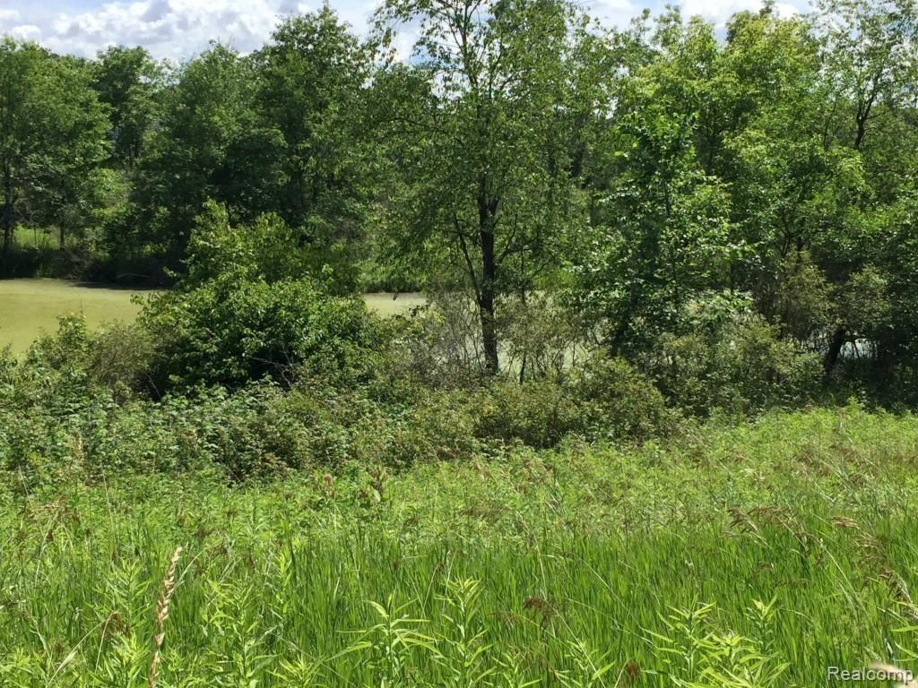 Parcel B Parker Road Holly, MI 48442 - Photo 6 of 18