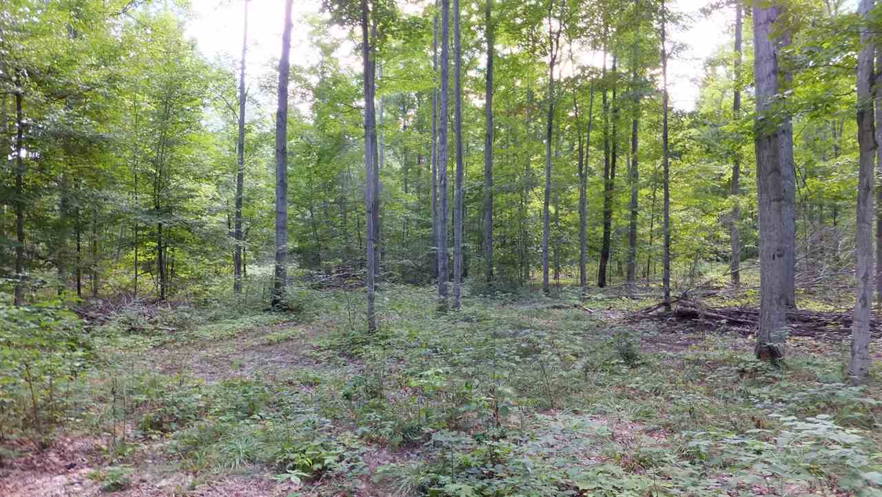 11159 Cinder Road Beulah, MI 49617 - Photo 35 of 40 1823292-34.JPG