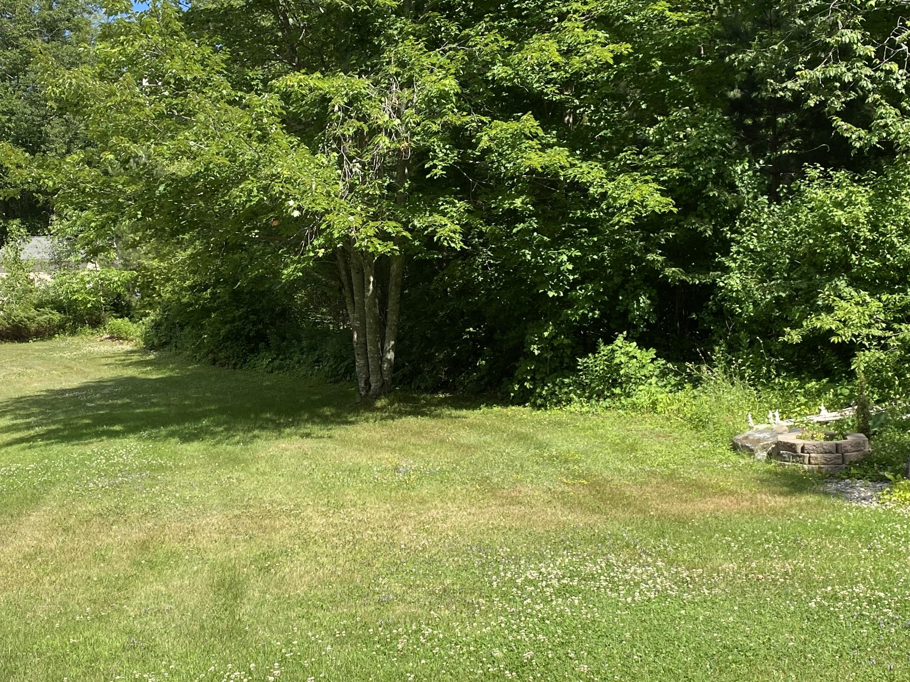 27 Cross Road Morrill, ME 04952 - Photo 49 of 54 Open lawns