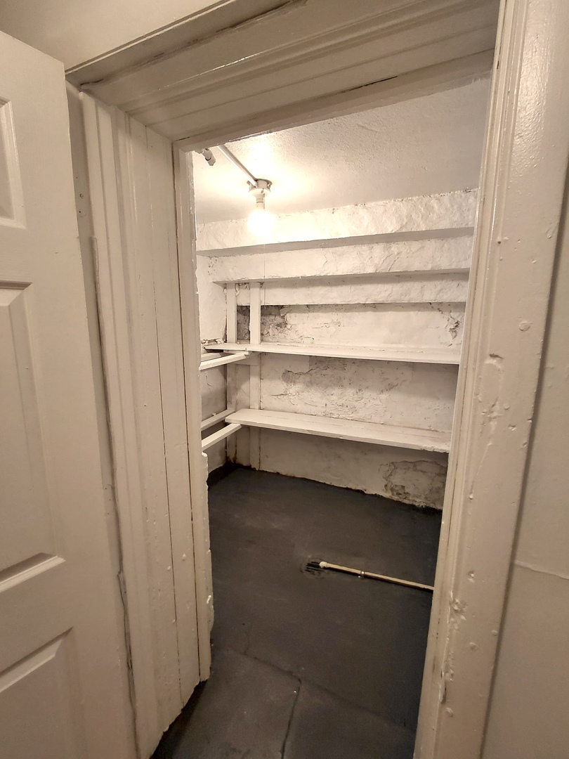 2215 South Albany Avenue, Unit 1F Chicago, IL 60623 - Photo 17 of 19